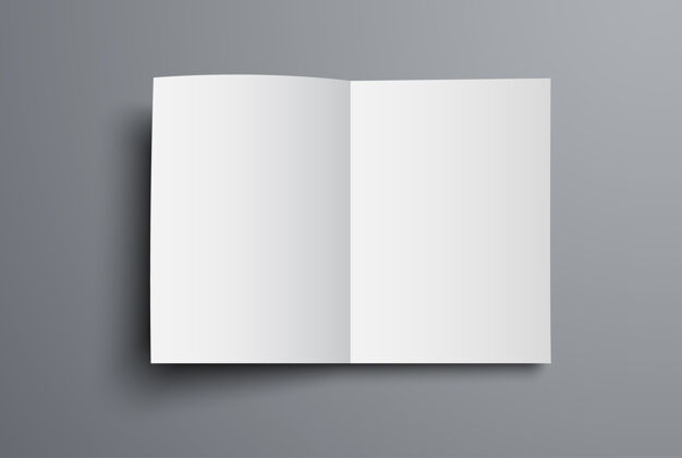 阴影宣传册是打开的第一页的俯视图通用目录a4或a5的空白页面小册子三维