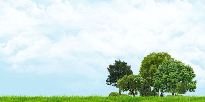美丽草和树视图多云天空广角景观三维插图草地田野云