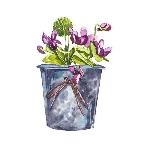 传统水彩紫罗兰花手在白色上画水彩插图背景.复活节收藏图形树叶花朵
