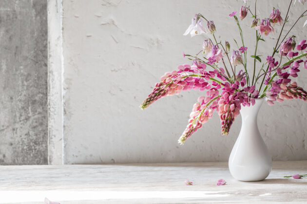 破旧白色旧背景上的白色花瓶里盛开着粉色的夏日花朵花瓣季节花瓶