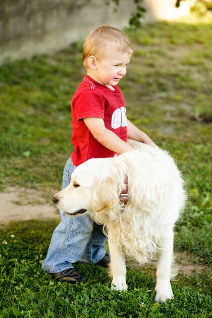 夏天可爱的蹒跚学步金发男孩与金色猎犬户外童年友谊男性