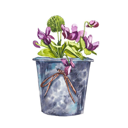 传统水彩紫罗兰花手在白色上画水彩插图背景.复活节收藏图形树叶花朵