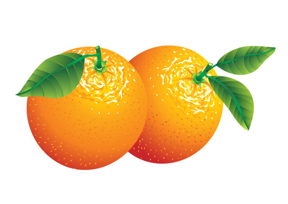 叶子两个橘子的叶子被隔离在白色的叶子上食物多汁柑橘