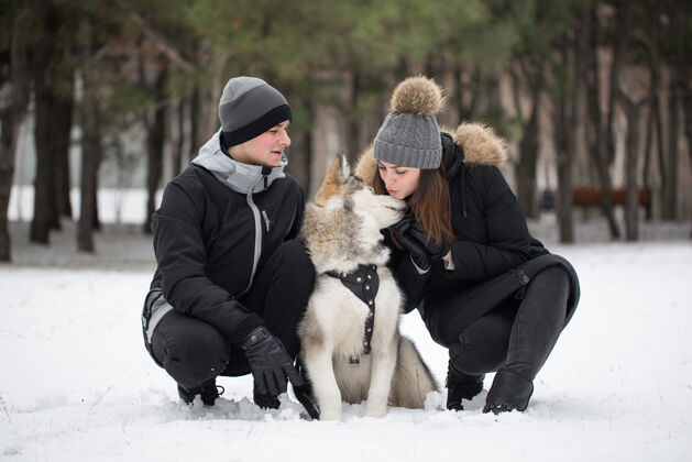 雪美丽的家庭 一个男人和一个女孩在冬天的森林里狗玩和狗西伯利亚哈士奇帽子笑声白天