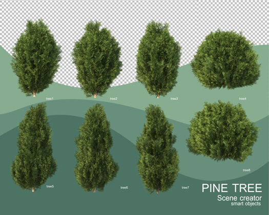 符号各种松树排列的3d渲染松树插图三维渲染