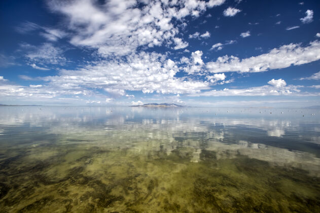 森林美国犹他州的大盐湖全景湖泊风景