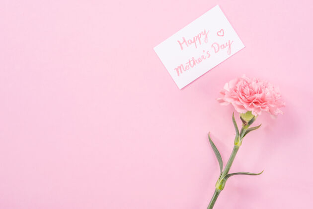 妈妈粉色康乃馨的俯视图 背景是粉色的母亲节花文字花头顶