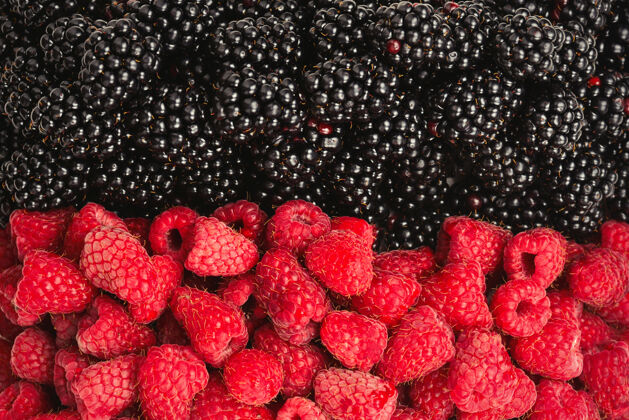 维生素树莓和蓝莓作为背景红醋栗饮食黑莓
