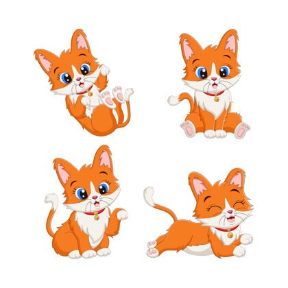 猫一组可爱的小猫卡通在不同的姿势哺乳动物可爱国内