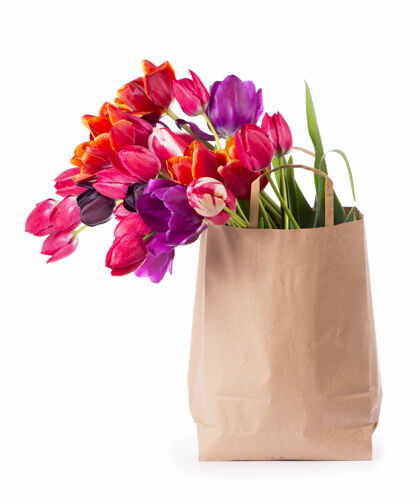 浪漫彩色郁金香在白色背景的纸袋里庆典新鲜开花