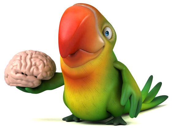 多彩有趣的鹦鹉插图大脑宠物飞行