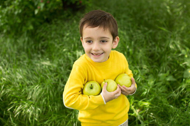 幼儿可爱的小男孩在阳光明媚的草地上摘苹果白天健康营养挑选肖像果园
