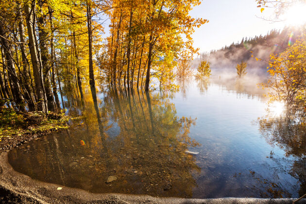 平静秋天美丽的湖泊海岸公园椅子