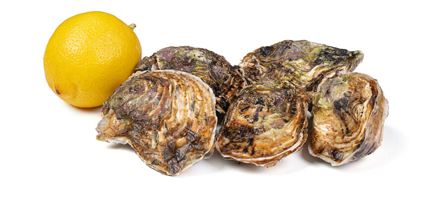 开放隔离新鲜牡蛎和柠檬在白墙上食品牡蛎开胃菜