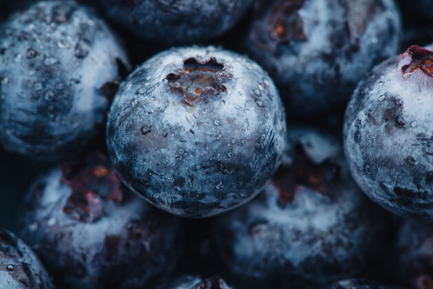 水果美丽的新鲜蓝莓食物蓝莓饮食