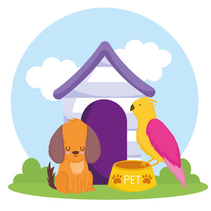 可爱的宠物狗鹦鹉碗与食物和房屋矢量插图家庭猫鹦鹉
