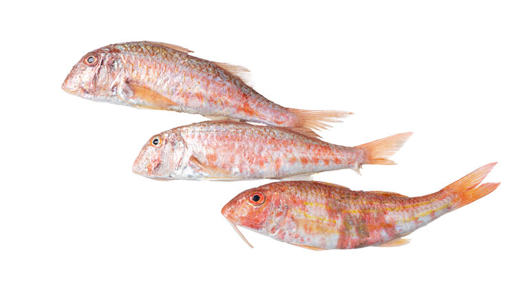 烹饪三条鲜红的鲻鱼在白色的水面上海洋膳食生