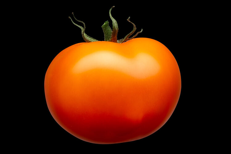 果皮美味的单红番茄蔬菜食品有机