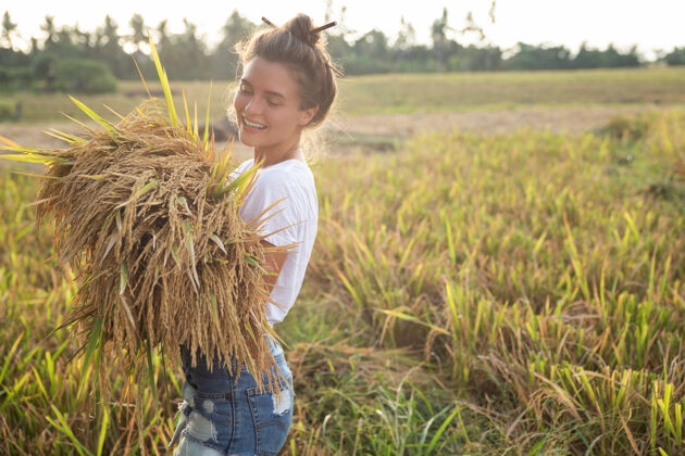 工作生态旅游还是日常生活工作快乐女农场主在稻田收割旅行草地金色