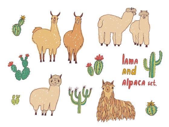 大自然可爱的喇嘛 羊驼和仙人掌摆手画了五颜六色的插图幼稚美洲驼集