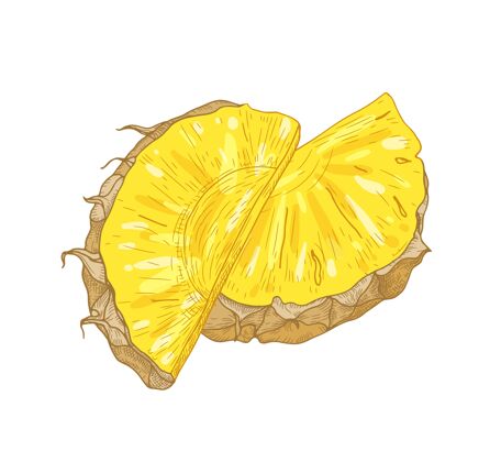营养白色背景上的新鲜有机菠萝片的详细写实图手工绘制切割异国情调