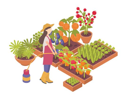持有女园丁或农民浇灌种植在盒子里的作物 或种植在白色背景上隔离的花盆生长农业女人
