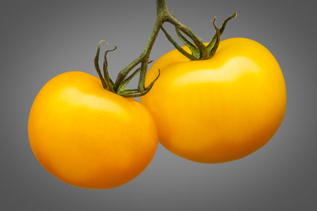 市场一束美味的黄色西红柿隔离在灰色背景与剪辑路径欧芹新鲜美味