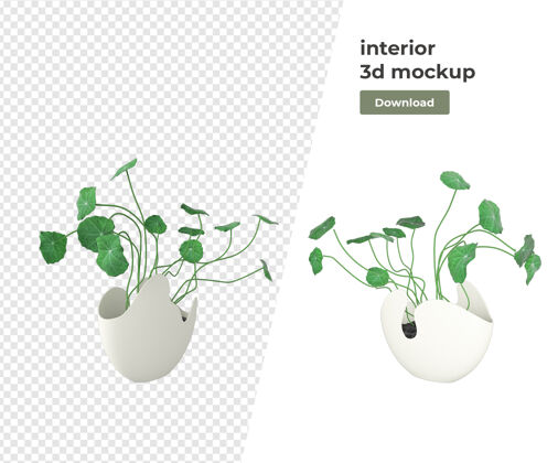 植物各种植物装饰3d渲染隔离盆栽装饰场景创作者