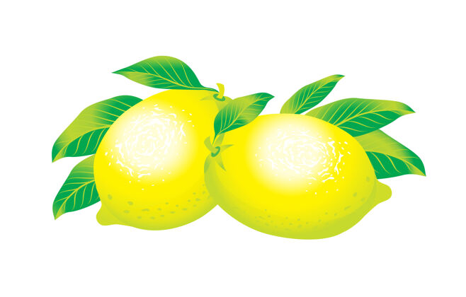 多汁两个柠檬孤立的美丽插图开胃菜柠檬成熟