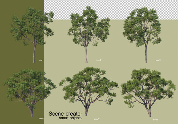 树叶各种树木的3d渲染隔离美丽树枝三维渲染