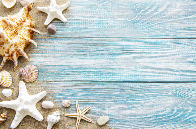 航海沙滩上的贝壳和蓝色的木头贝壳贝壳星星