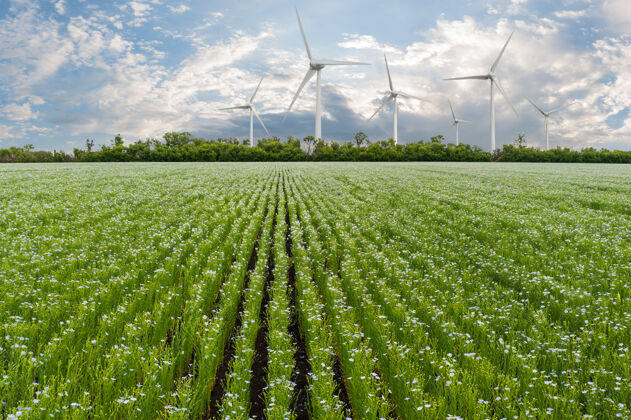 环境工业景观与风力涡轮机领域 可再生生态能源 电动风车风车技术瓦特
