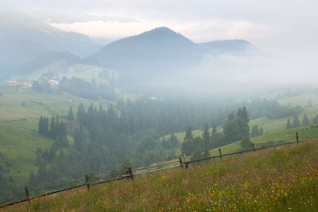 雾夏日山腰上的山村（喀尔巴阡山 乌克兰）山户外林业