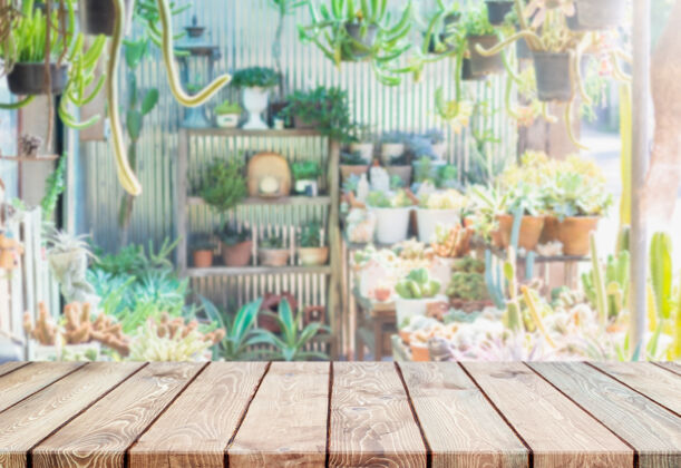 木材空木桌面和模糊的绿色房子仙人掌和多汁多汁模糊温室