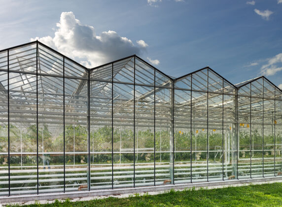 塑料在温室里种菜圆顶玻璃农场
