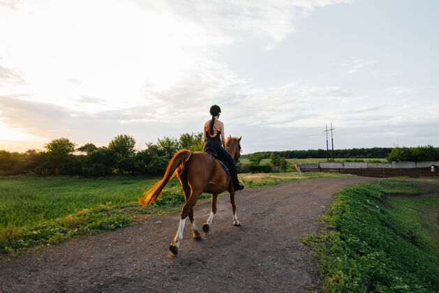 马一个年轻漂亮的女骑师骑着一匹纯种种马在日落时分骑马马术运动 骑马女人女骑手路缘