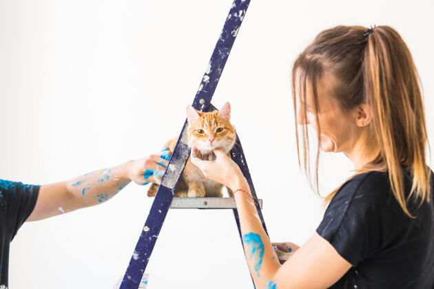 重新装修年轻的女画家 设计师和工人在墙上画画 旁边的梯子上坐着一只猫工具墙改进