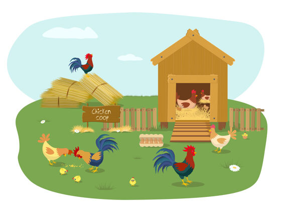 鸡农场动物鸡笼里有许多小鸡蛋家禽卡通