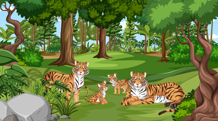 动物老虎家族在森林里有很多树野生新生猫