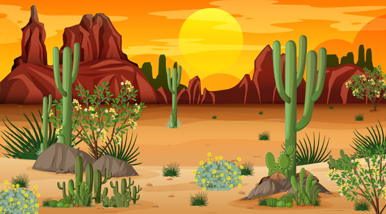 沙丘沙漠森林景观在日落时分景色与许多仙人掌夜晚天空风景