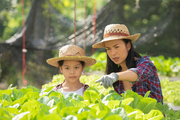 自然亚洲母女一起在农场里帮助采集新鲜的水培蔬菜 家庭生活方式中家庭农业的概念园艺和儿童教育园艺检查有机