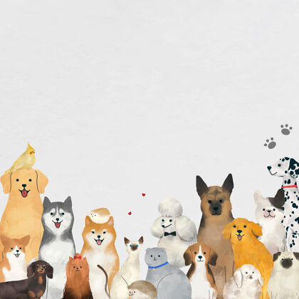 刺猬动物背景与可爱的宠物插图可爱的动物石坝犬动物