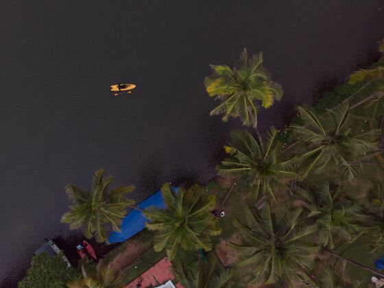 海岸空中拍摄的海滩上有棕榈树的船白天钓鱼风景