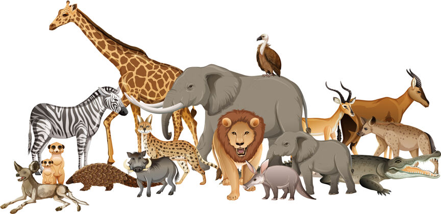 系列一群非洲野生动物在白色的野生动物园猎人可爱