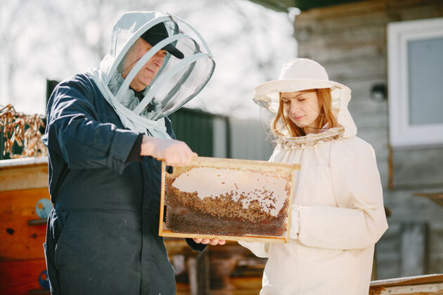 蜂巢两个养蜂人在养蜂场工作穿着工作服工作学习绿化细胞