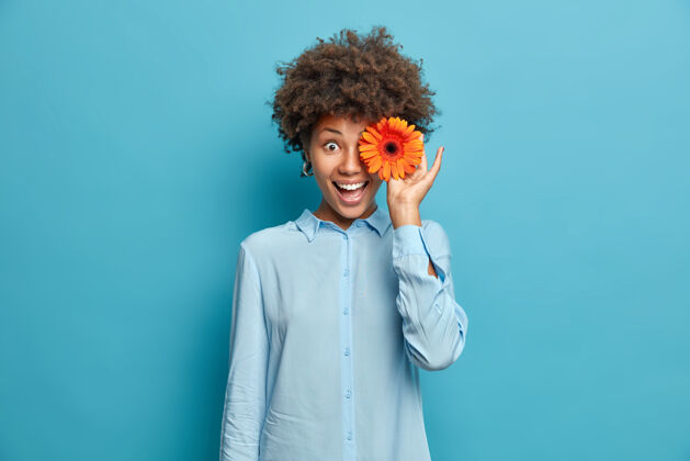 黑发美丽的女人用芬芳的橙色非洲菊或雏菊花遮住眼睛穿着节日的衬衫隔着蓝色的墙有着自然美完美的微笑年轻高兴心情