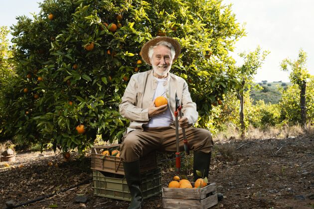柑橘拿着新鲜橙子的老人热带栽培自然