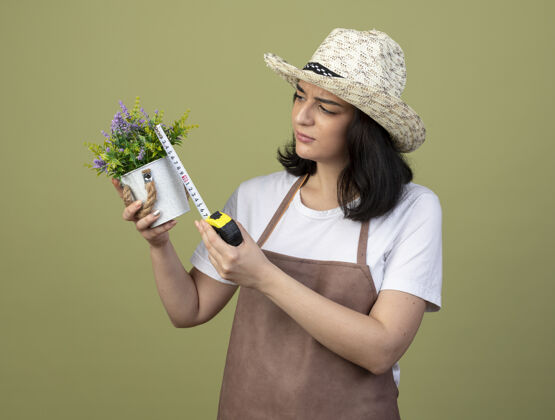 胶带无知的年轻黑发女园丁穿着制服戴着园艺帽测量花盆与卷尺隔离在橄榄绿的墙上帽子女人人