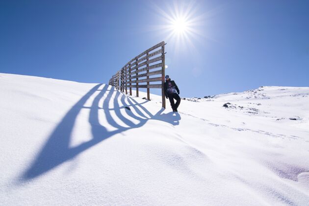 蓝色阳光下站在雪山山峰上的一只雄性的低角度镜头人北方冰冻