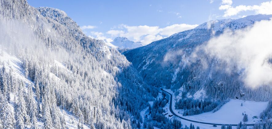 背景美丽的空中拍摄的树木覆盖阿尔卑斯山在一个雪天的冬天在瑞士旅行风景欧洲